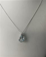 Collana Demetra Donna in Oro bianco Acquamarina 9K.038.D.115.002.W